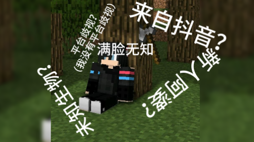 新 人 阿 婆